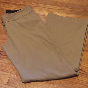 Express dress pant
